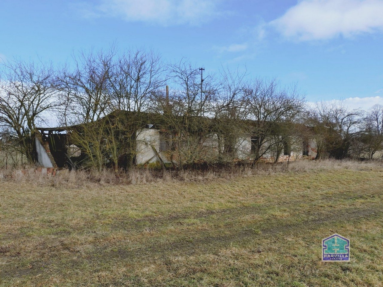 WhatsApp Image 2026-02-12 at 14.27.58