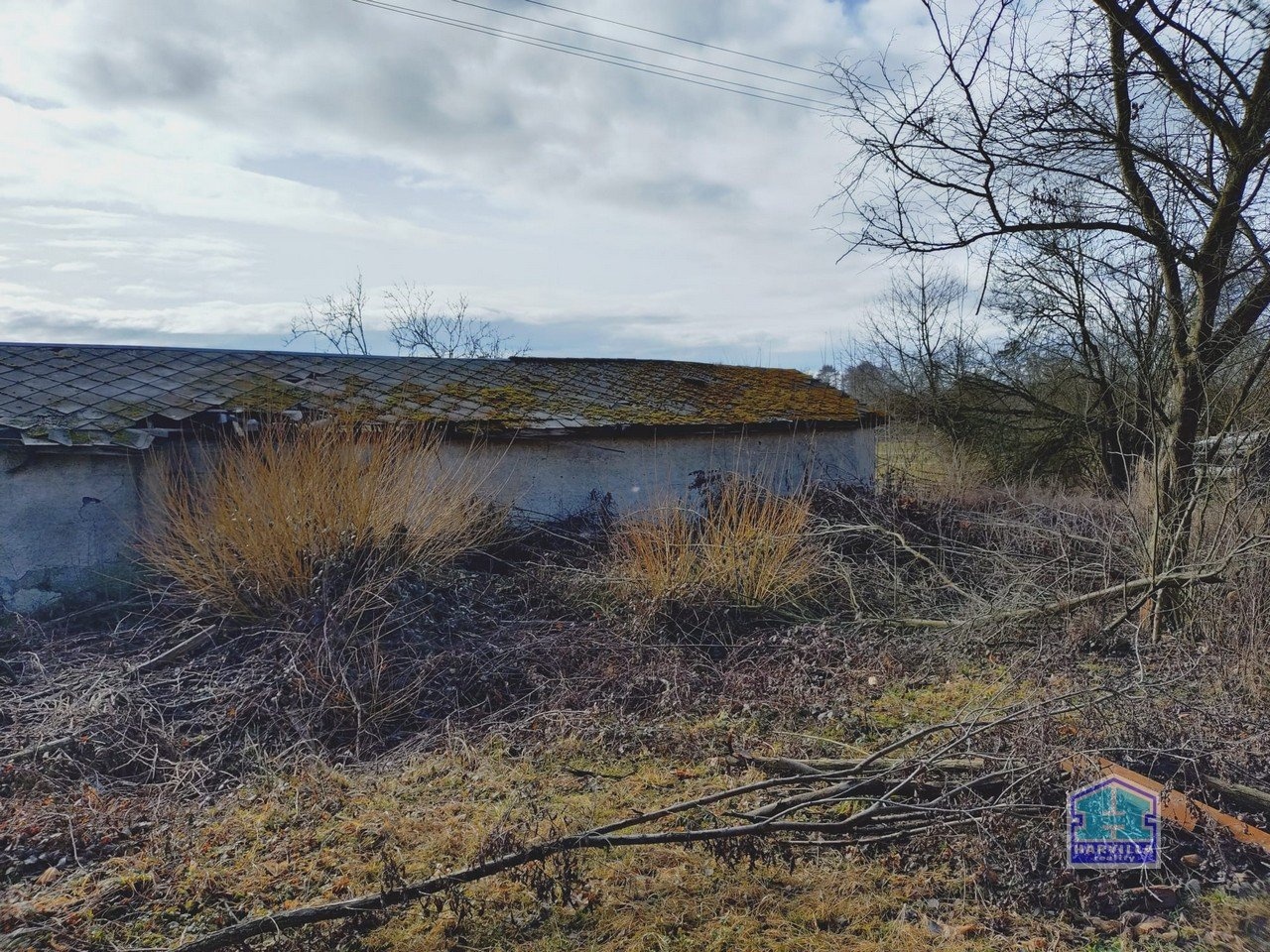 WhatsApp Image 2026-02-12 at 14.27.58 (4)