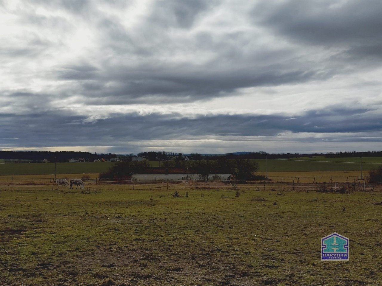 WhatsApp Image 2026-02-12 at 14.27.54 (1)