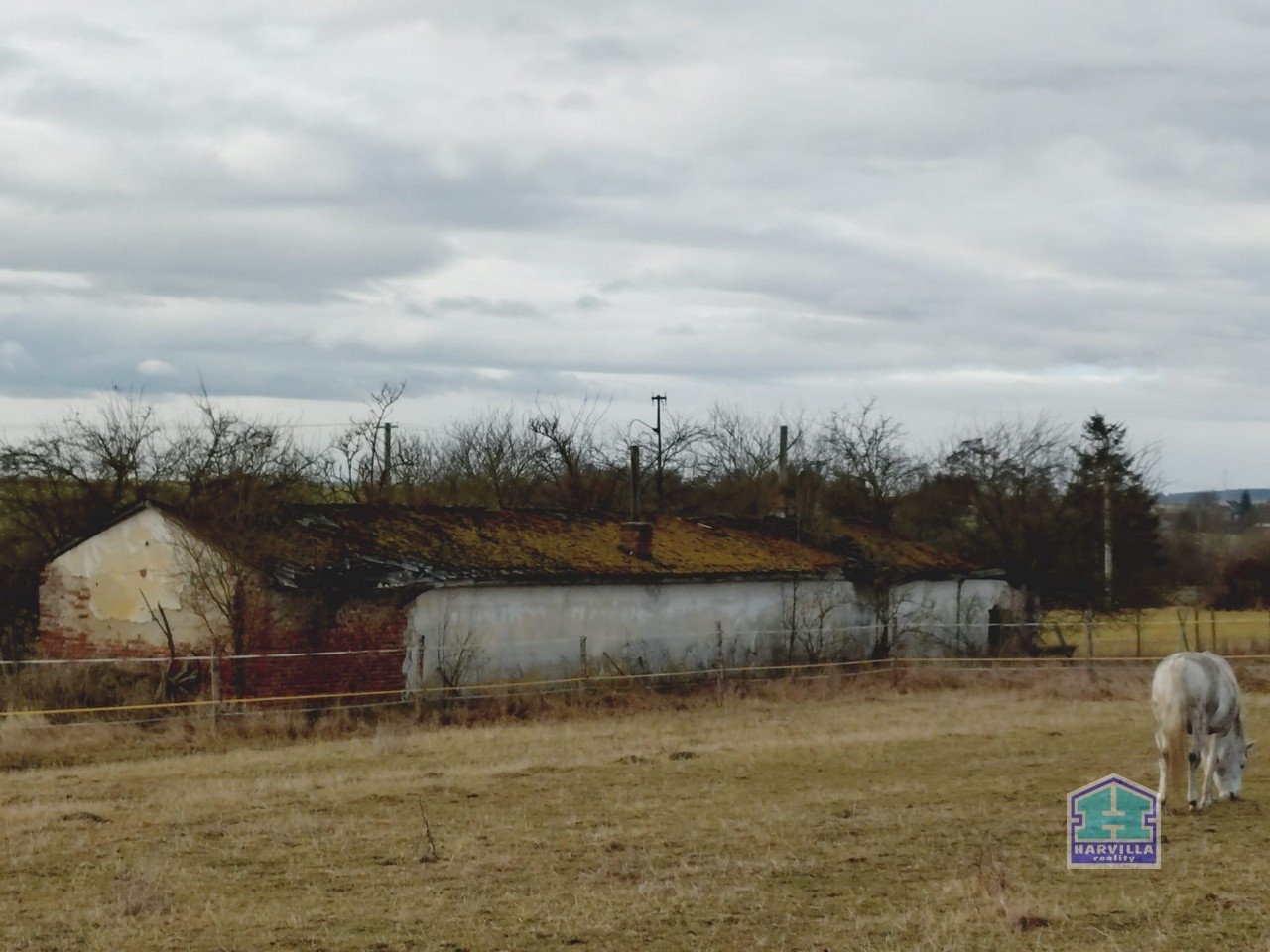 WhatsApp Image 2026-02-12 at 14.27.55 (1)