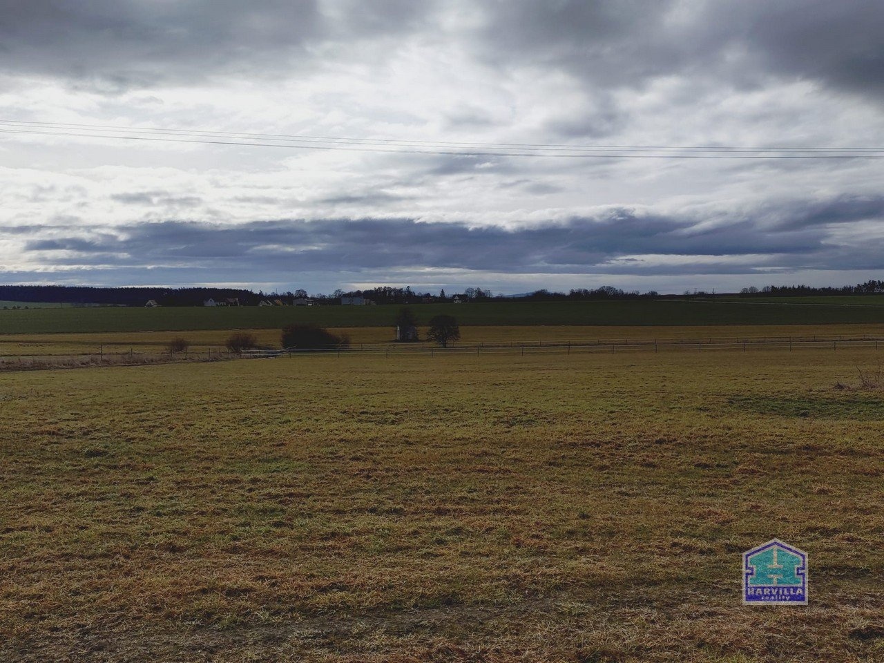 WhatsApp Image 2026-02-12 at 14.27.55 (3)