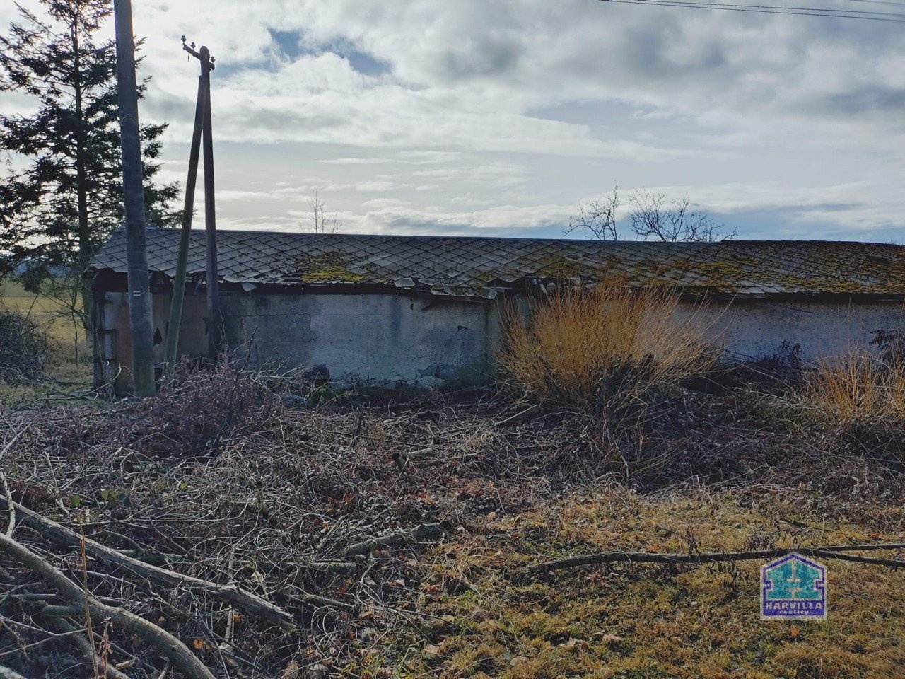 WhatsApp Image 2026-02-12 at 14.27.58 (5)