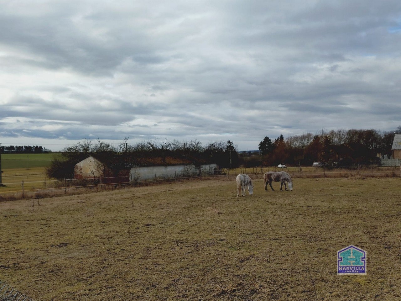 WhatsApp Image 2026-02-12 at 14.27.55