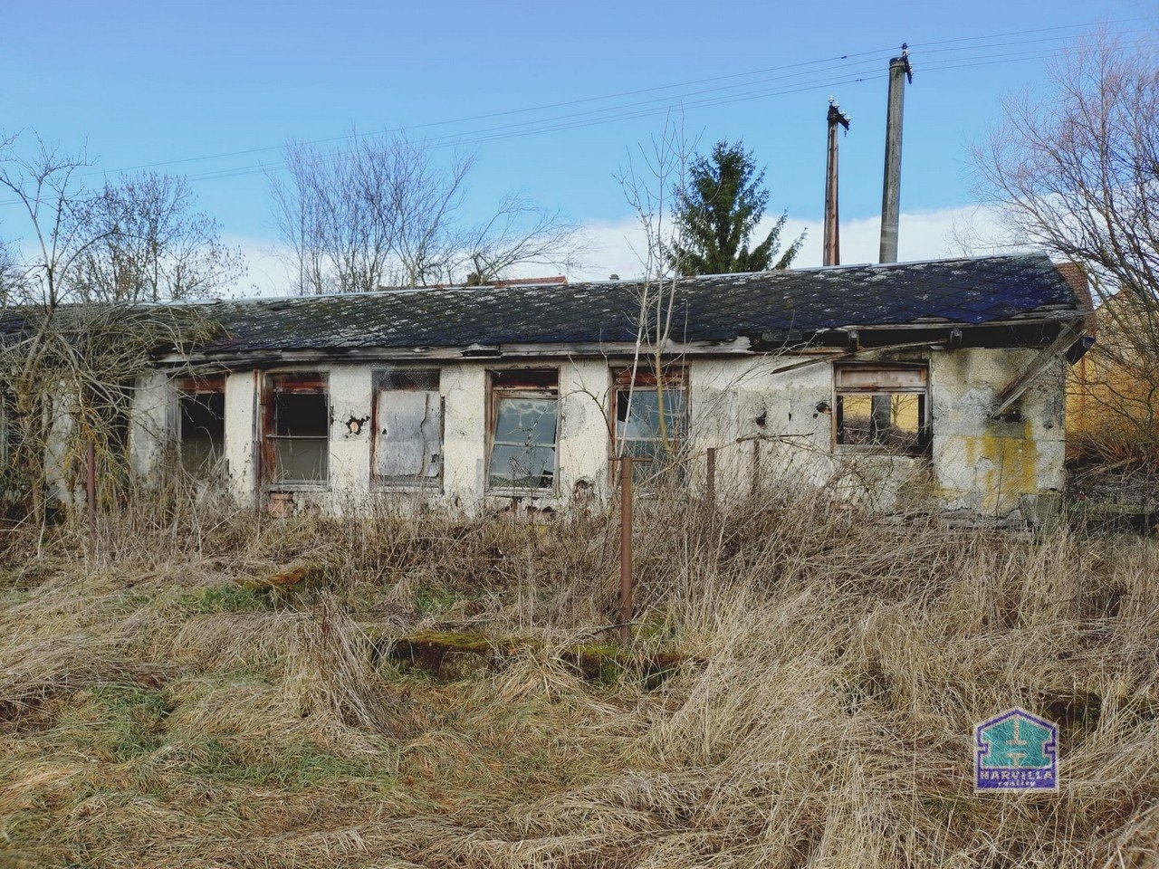 WhatsApp Image 2026-02-12 at 14.27.58 (3)