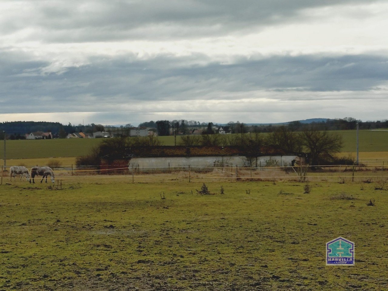 WhatsApp Image 2026-02-12 at 14.27.54