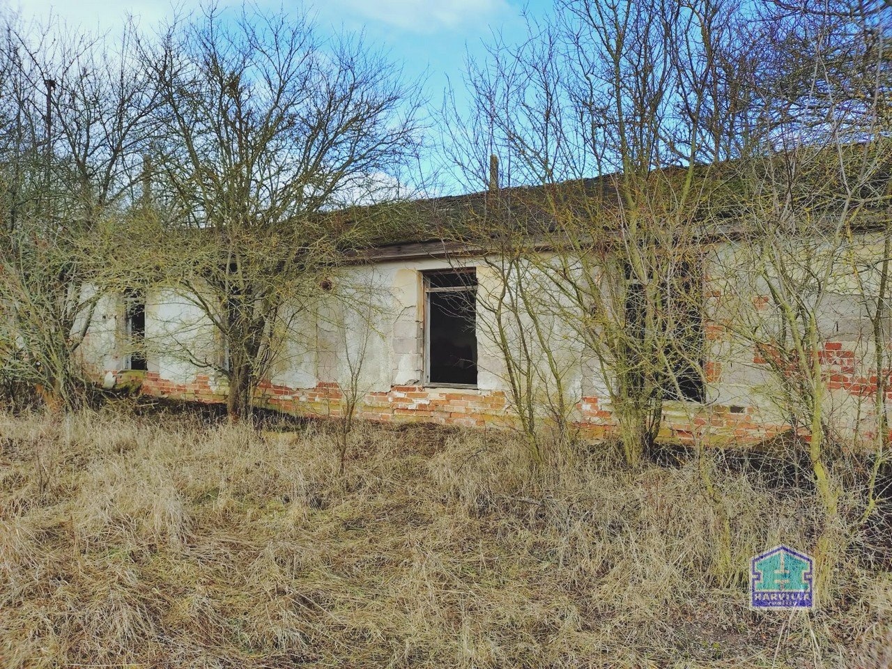 WhatsApp Image 2026-02-12 at 14.27.57 (1)