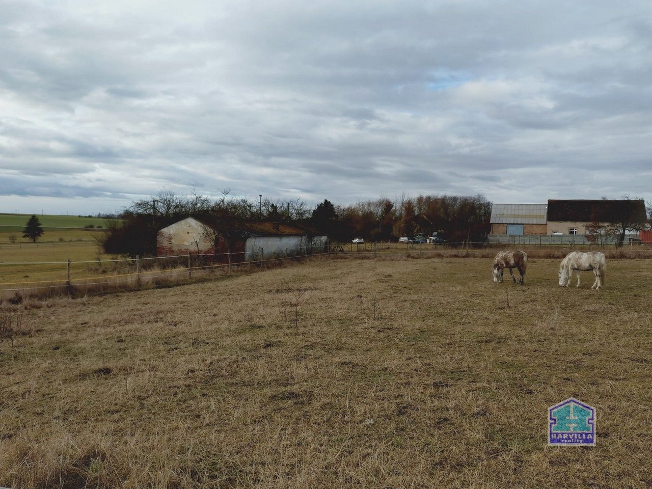 WhatsApp Image 2026-02-12 at 14.27.55 (2)