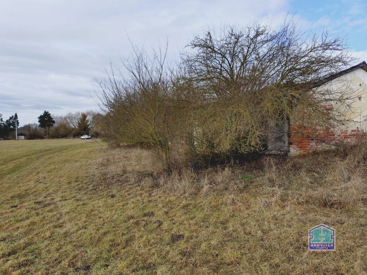 WhatsApp Image 2026-02-12 at 14.27.56 (1)