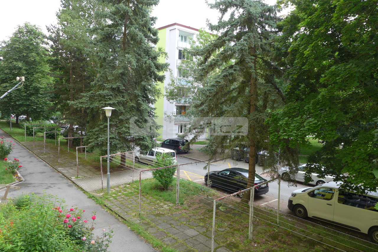 Fotka 8