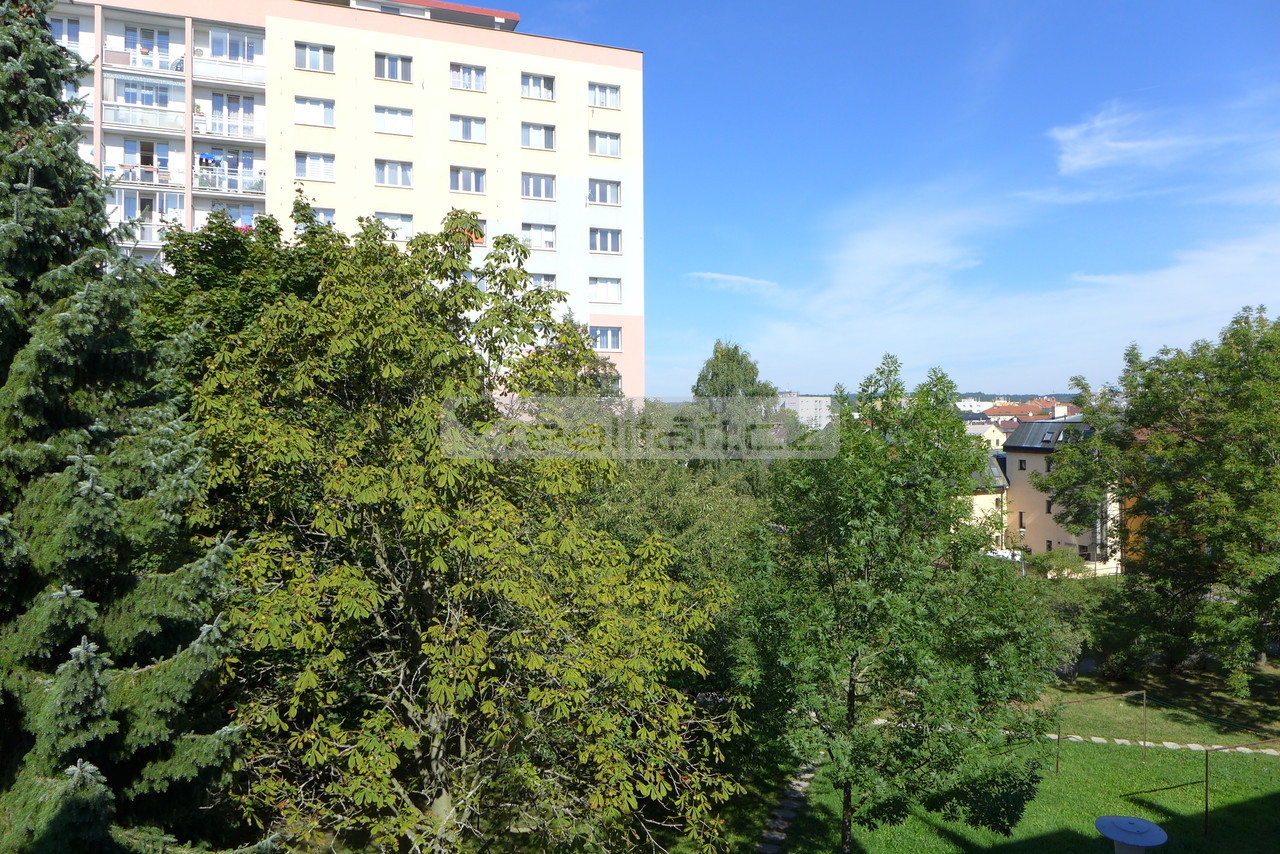 Fotka 11