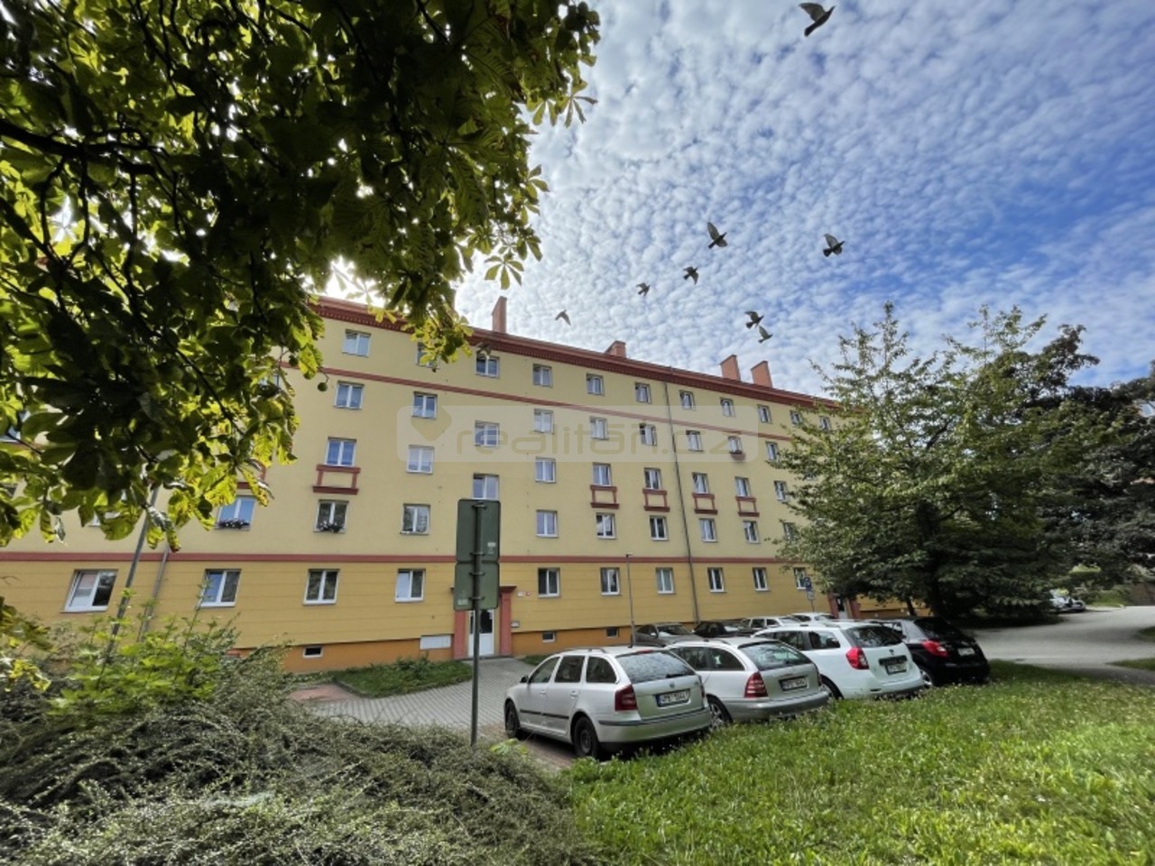 Fotka 19