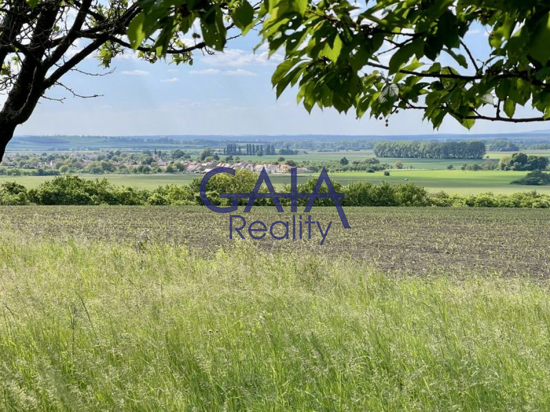 Ovocný sad pod Bílými Karpaty