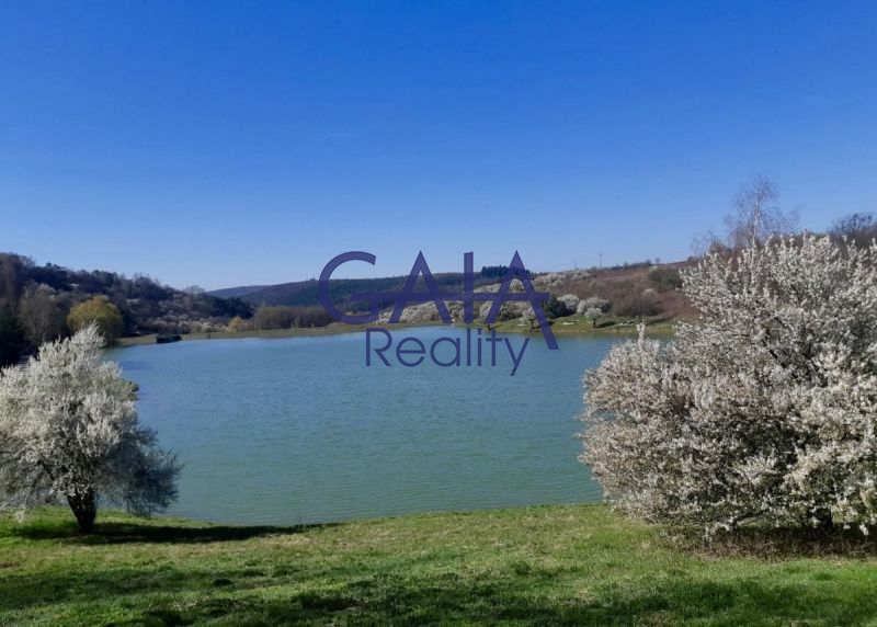 Prodej pozemku v Jestřabicích – klid, příroda a re