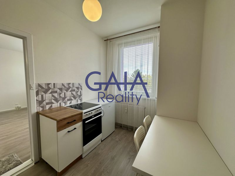 K pronájmu útulný a světlý byt 1+1 s nikou