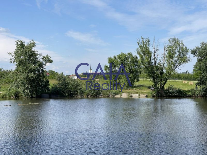 Pozemek u lesa se stavebním povolením