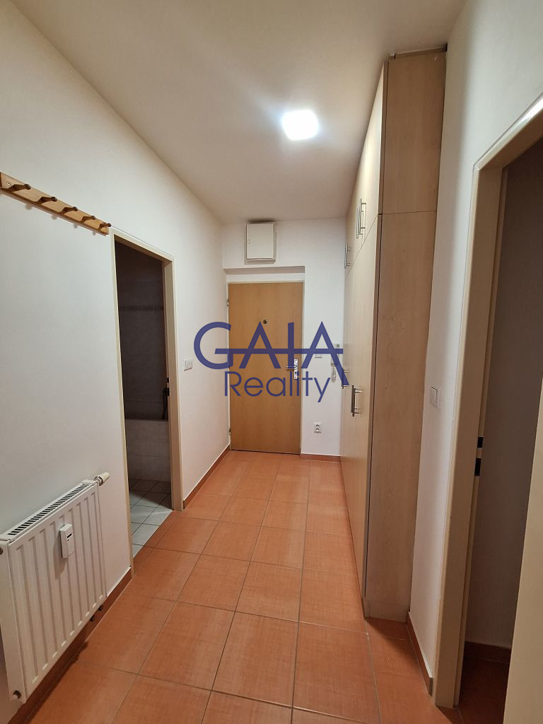 Pronájem bytu 1+kk, 46 m&sup2; s balkonem – Prostě