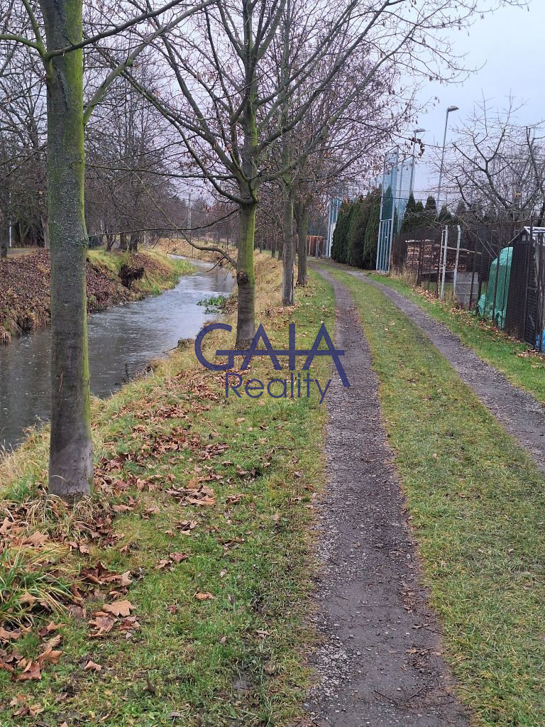 Pronájem zahrady se zahradní kůlnou 