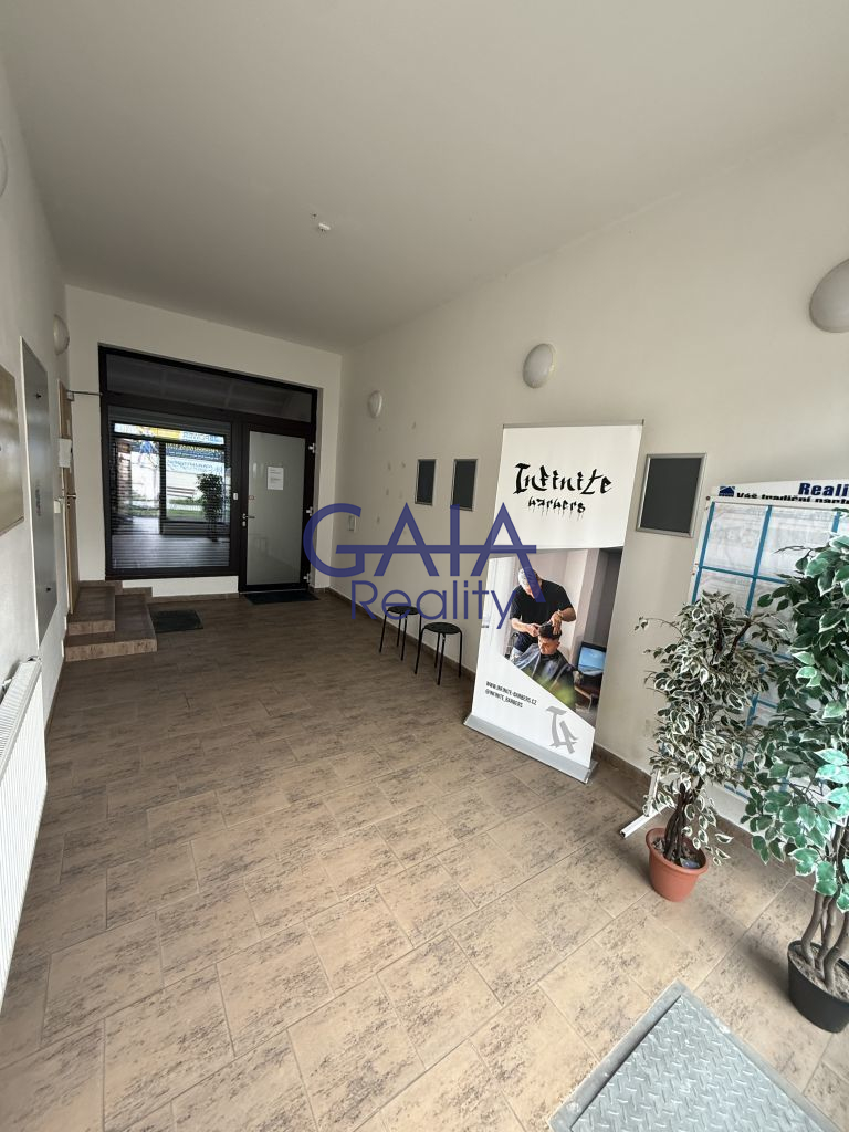 Pronájem reprezentativních komerčních prostor 364 m&sup2;