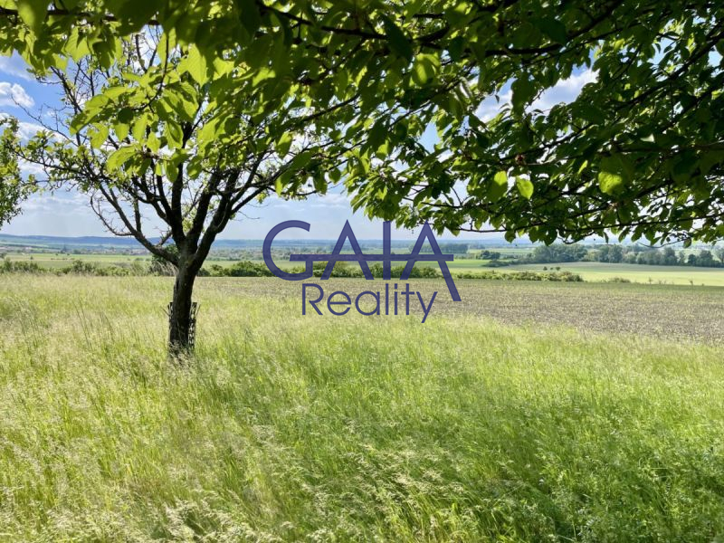 Ovocný sad pod Bílými Karpaty