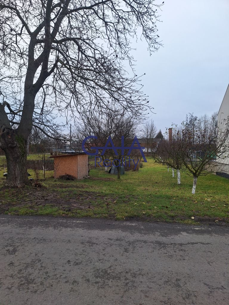 Pronájem zahrady se zahradní kůlnou 