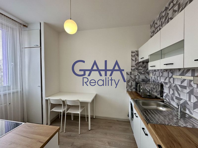 K pronájmu útulný a světlý byt 1+1 s nikou