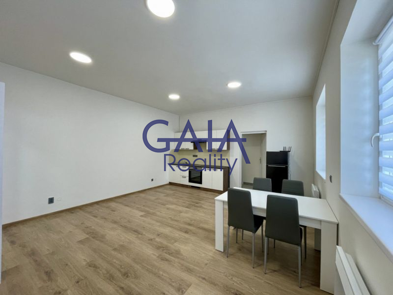 Pronájem bytu 1+kk po modernizaci