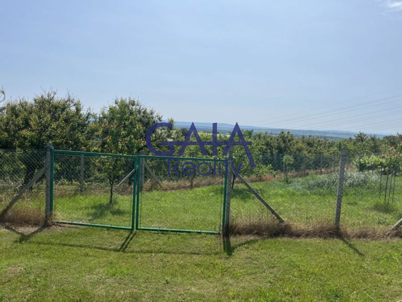 Oplocený vinohrad s chatkou v srdci moravského Toskánska