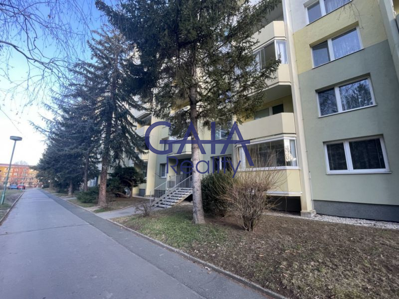 Bydlení za rozumnou cenu