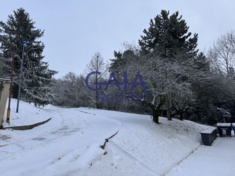 Podnájem přízemního bytu 2+1 nedaleko centra města