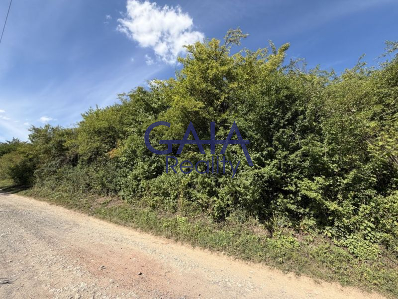 Prodej souboru pozemků 8 411 m&sup2; – Buchlovice