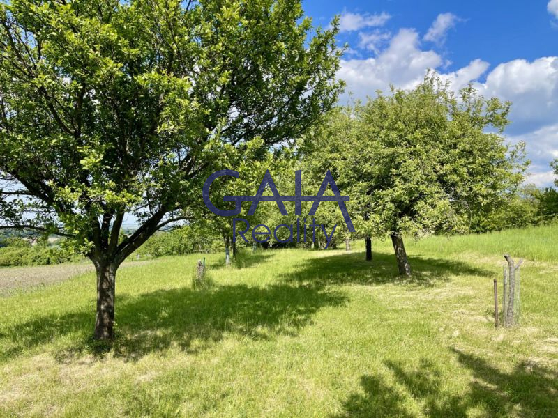 Ovocný sad pod Bílými Karpaty