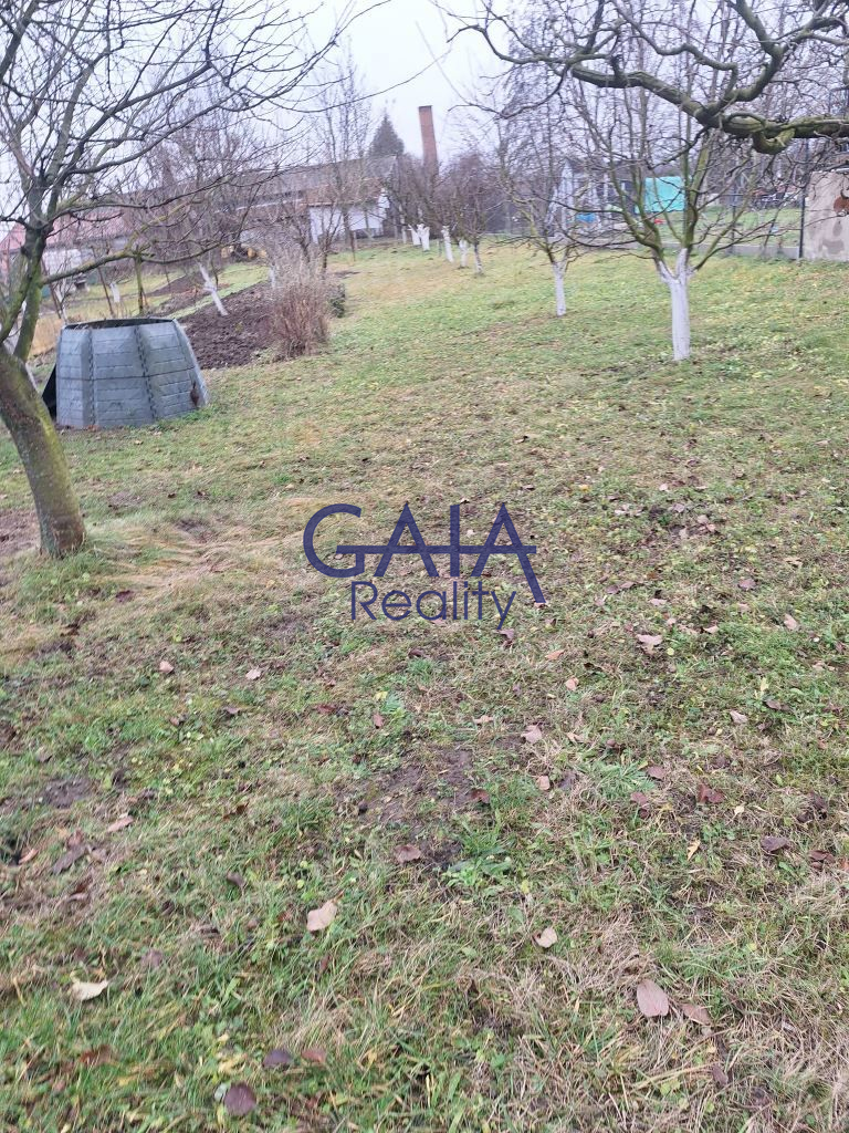 Pronájem zahrady se zahradní kůlnou 