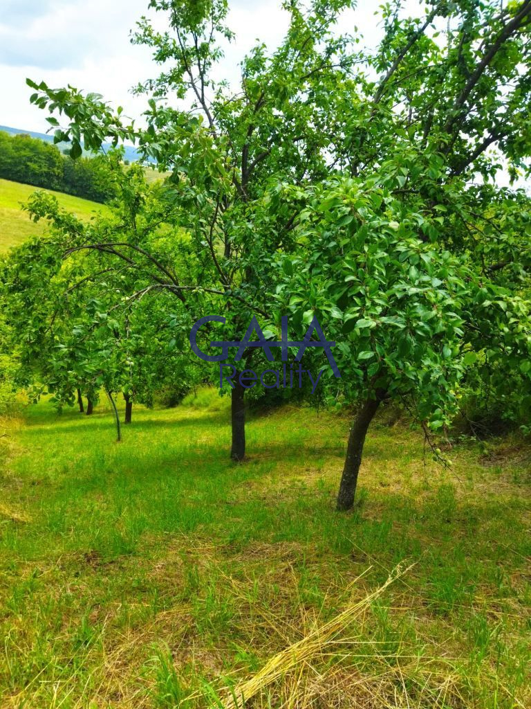 Na prodej švestkový sad v Bukovanech u Kyjova