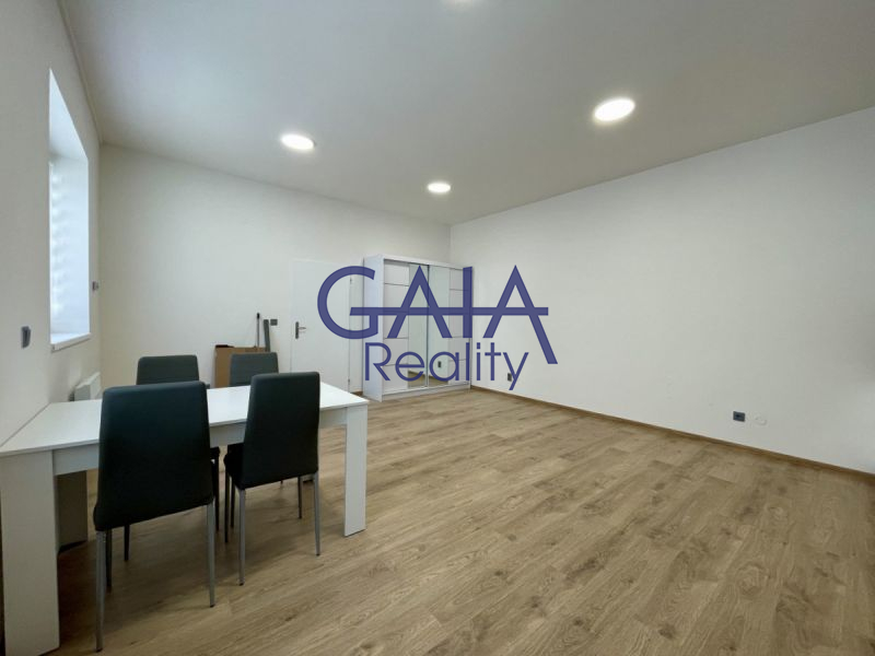 Pronájem bytu 1+kk po modernizaci