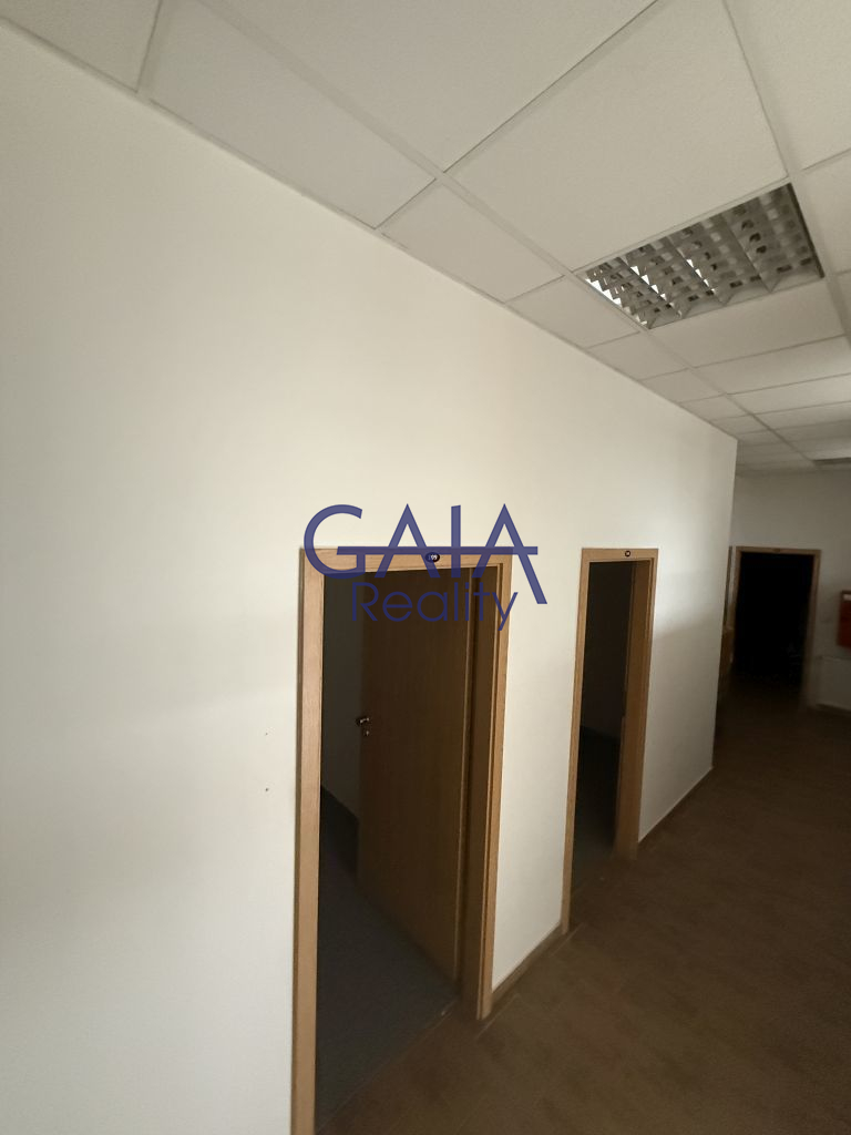 Pronájem reprezentativních komerčních prostor 364 m&sup2;