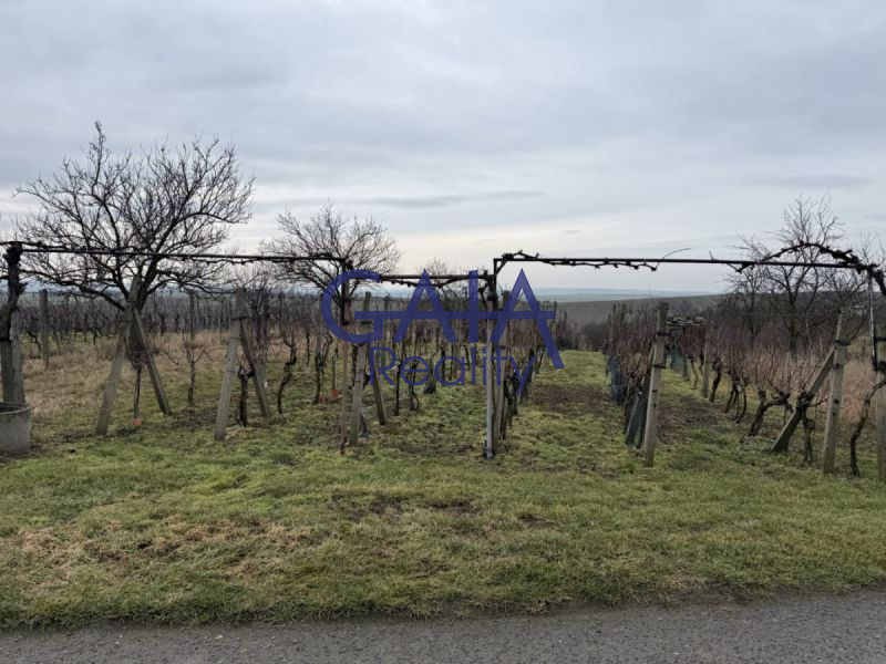 Prodej vinice a ov. sadu v k. ú. Svatobořice – tra