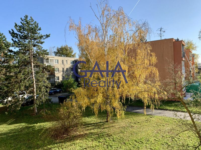 Prodej slunného bytu 3+1 s balkonem