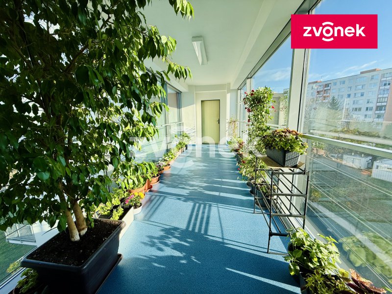 Obrázek k zakázce č.: 728621