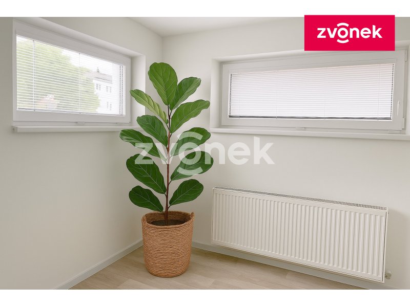 Obrázek k zakázce č.: 614803