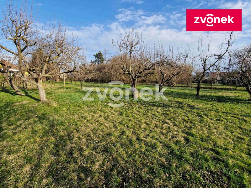 Obrázek k zakázce č.: 729641