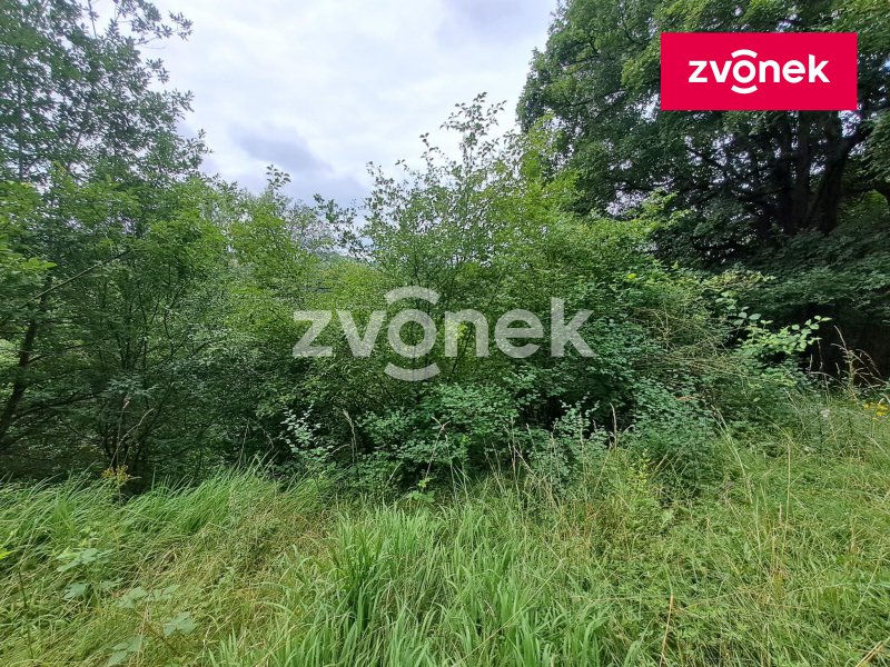 Obrázek k zakázce č.: 710562