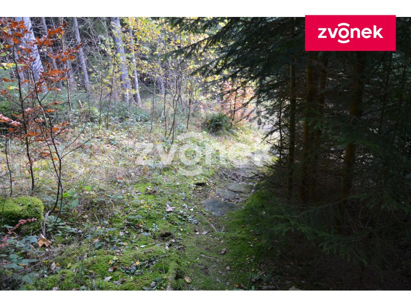 Obrázek k zakázce č.: 716482