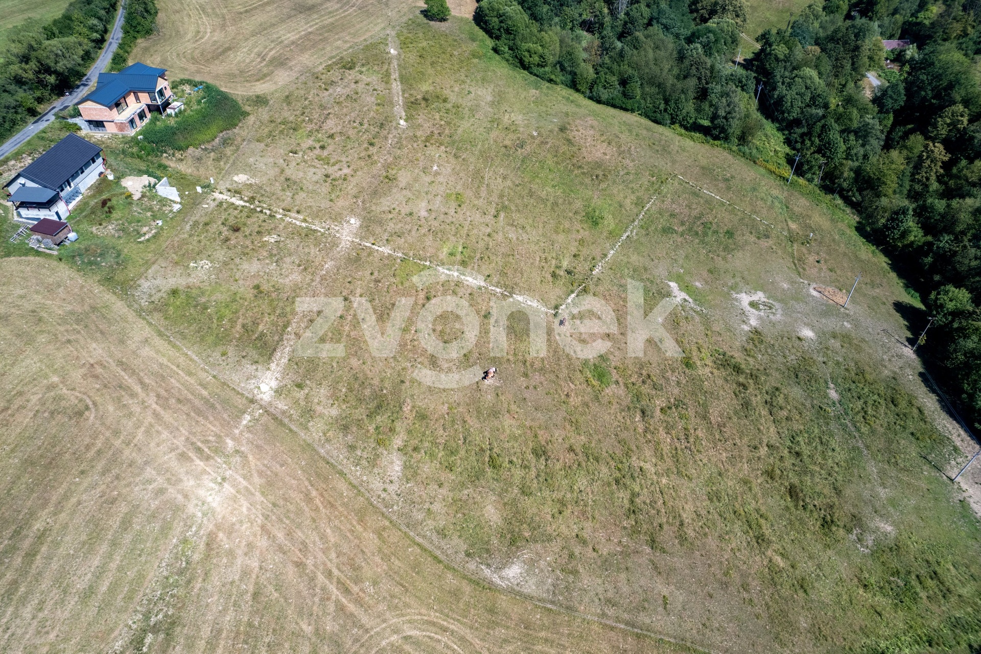DJI_0533