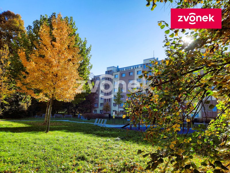 Obrázek k zakázce č.: 723381