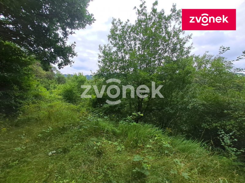 Obrázek k zakázce č.: 710562