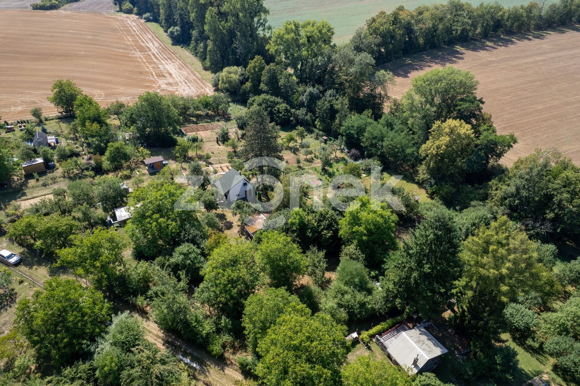 DJI_0803
