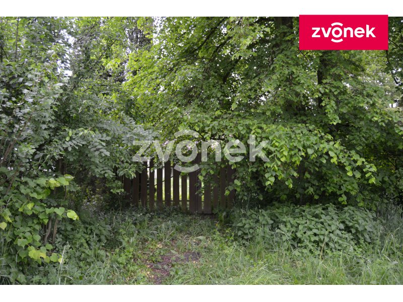 Obrázek k zakázce č.: 716862