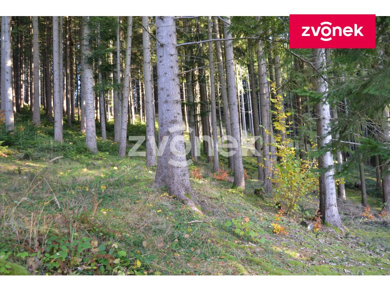 Obrázek k zakázce č.: 716482