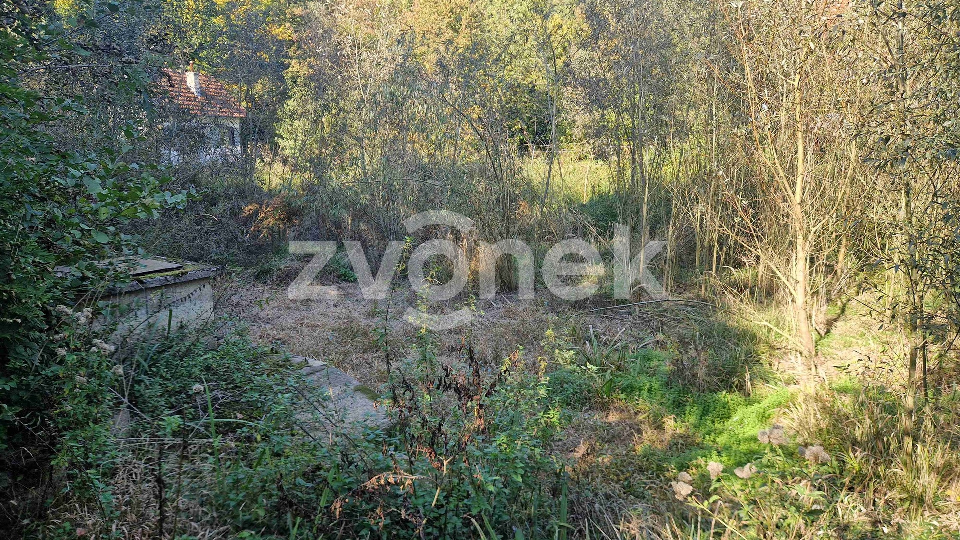 Prodej rybníku - vodní plochy Helenkovice 1 mapka 