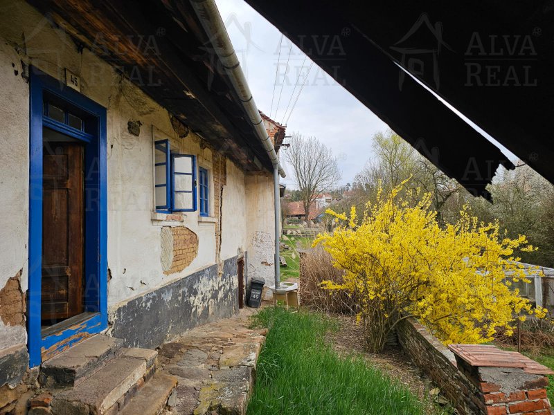 Obrázek k zakázce č.: 731851
